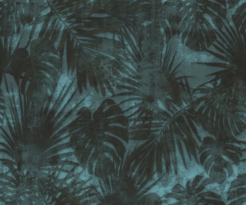 Fototapeta Tekstura Liście Palmy Monstera