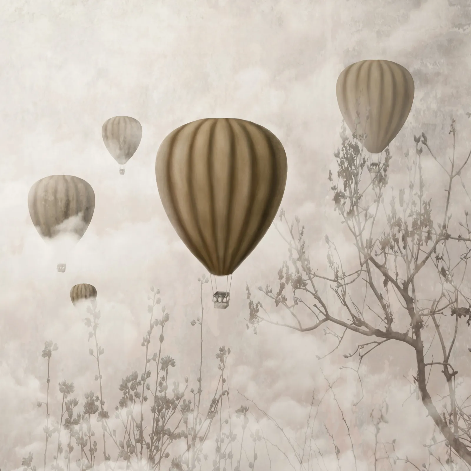 Fototapeta Balony w Chmurach — powiększenie wzoru