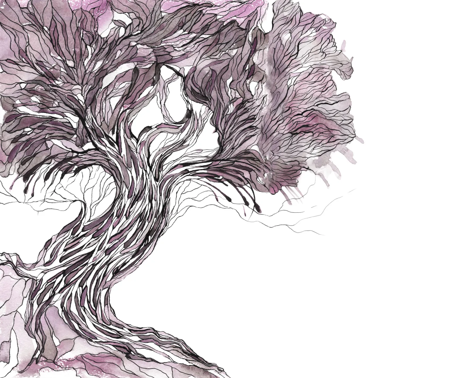 Fototapeta Stare Drzewo Ilustracja — powiększenie wzoru