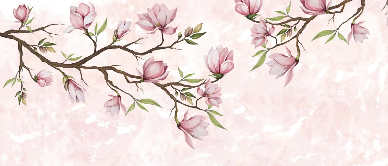 Fototapeta Magnolie — powiększenie wzoru