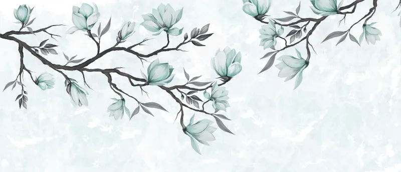 Fototapeta Gałązki z kwitnącymi kwiatami magnolii