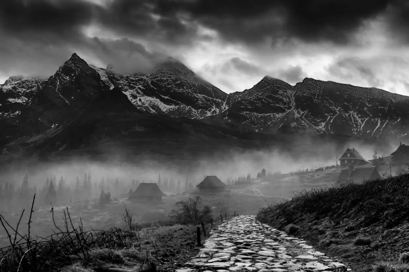Fototapeta Tatry Hala Gąsienicowa — powiększenie wzoru