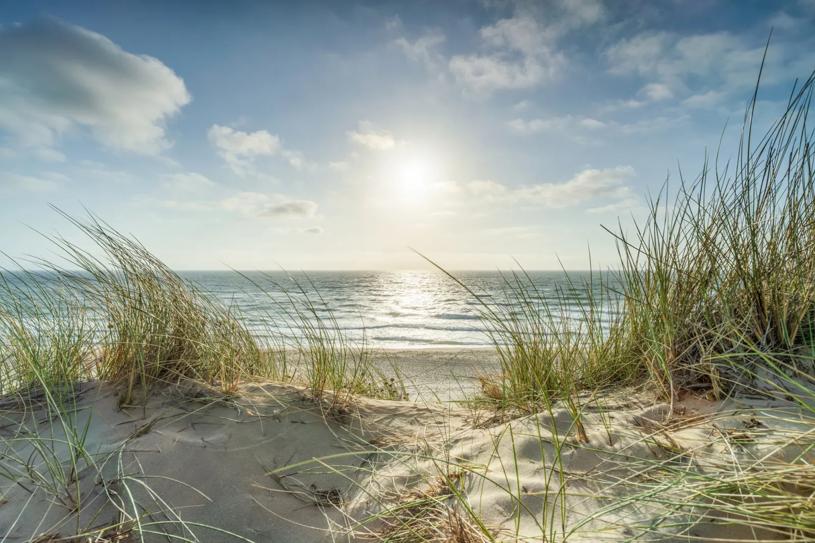 Fototapeta Słoneczna plaża — powiększenie wzoru