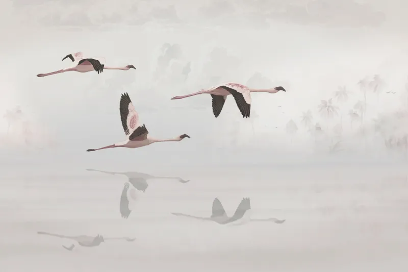 Fototapeta Flamingi lecące nad jeziorem