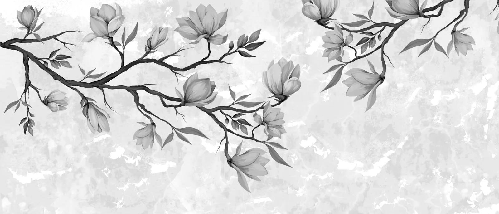 Fototapeta Szare gałązki z kwitnącymi kwiatami magnolii — powiększenie wzoru