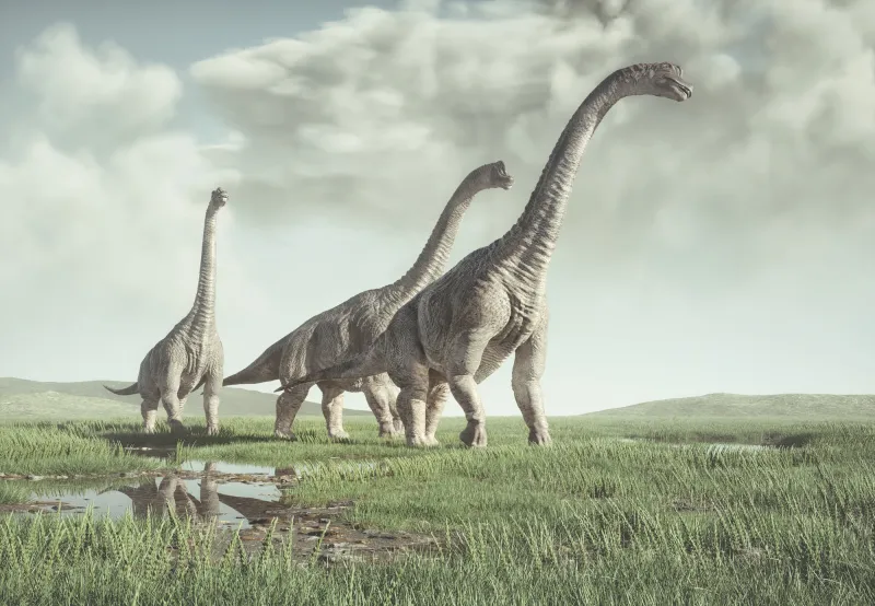 Fototapeta Prehistoryczne dinozaury