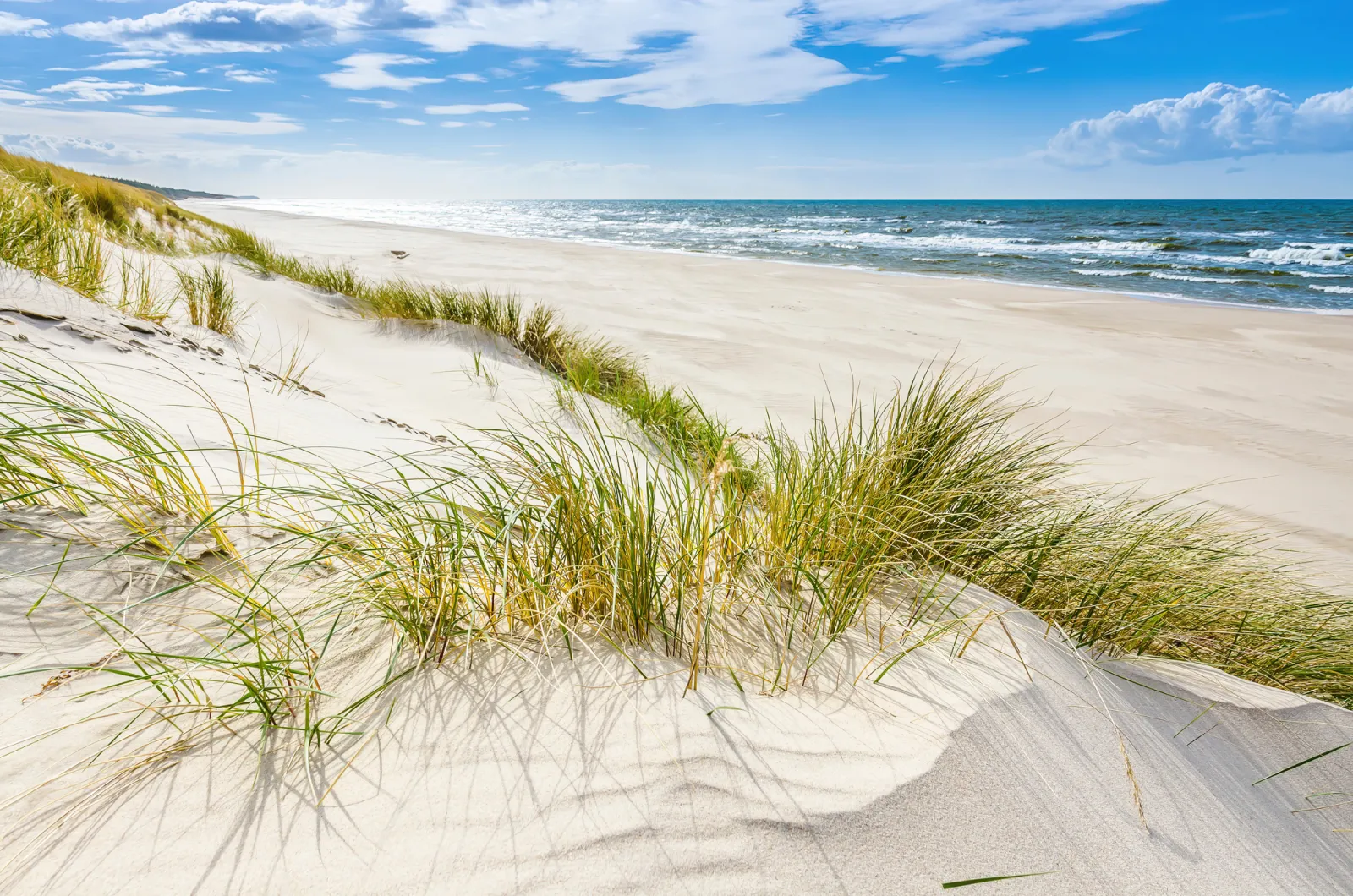 Fototapeta Dzika plaża — powiększenie wzoru