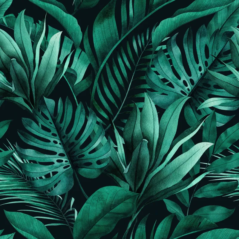 Fototapeta liście monstera, bananów i palm na ciemnym tle