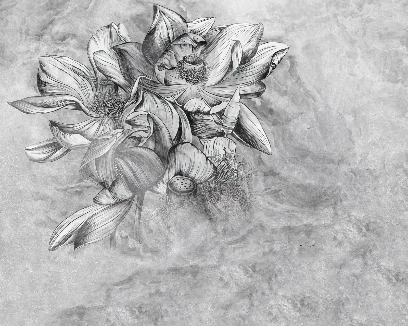 Fototapeta Grafitowe Lotosy — powiększenie wzoru