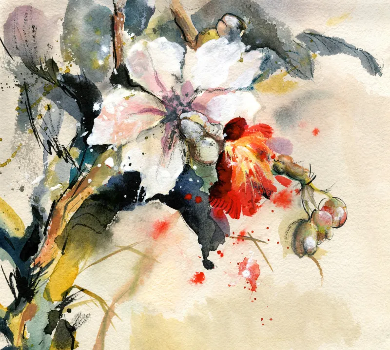 Fototapeta Malowana Orchidea
