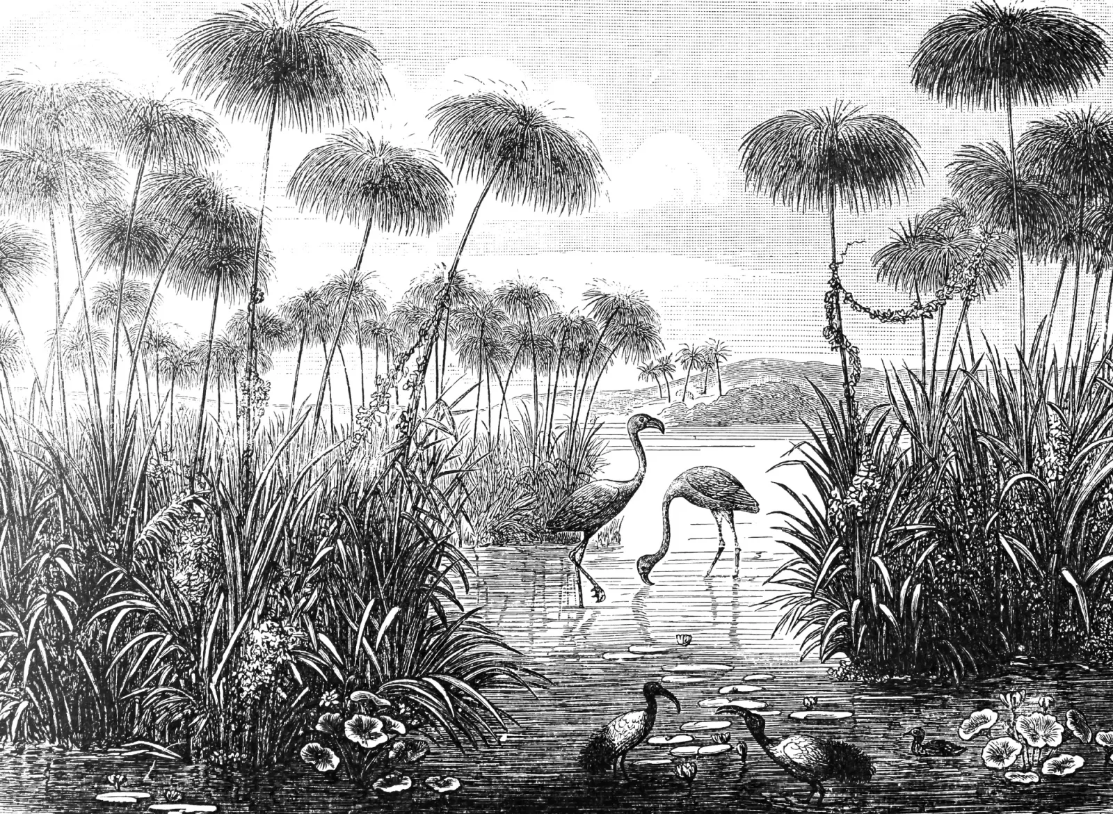 Fototapeta flamingi nad wodą — powiększenie wzoru