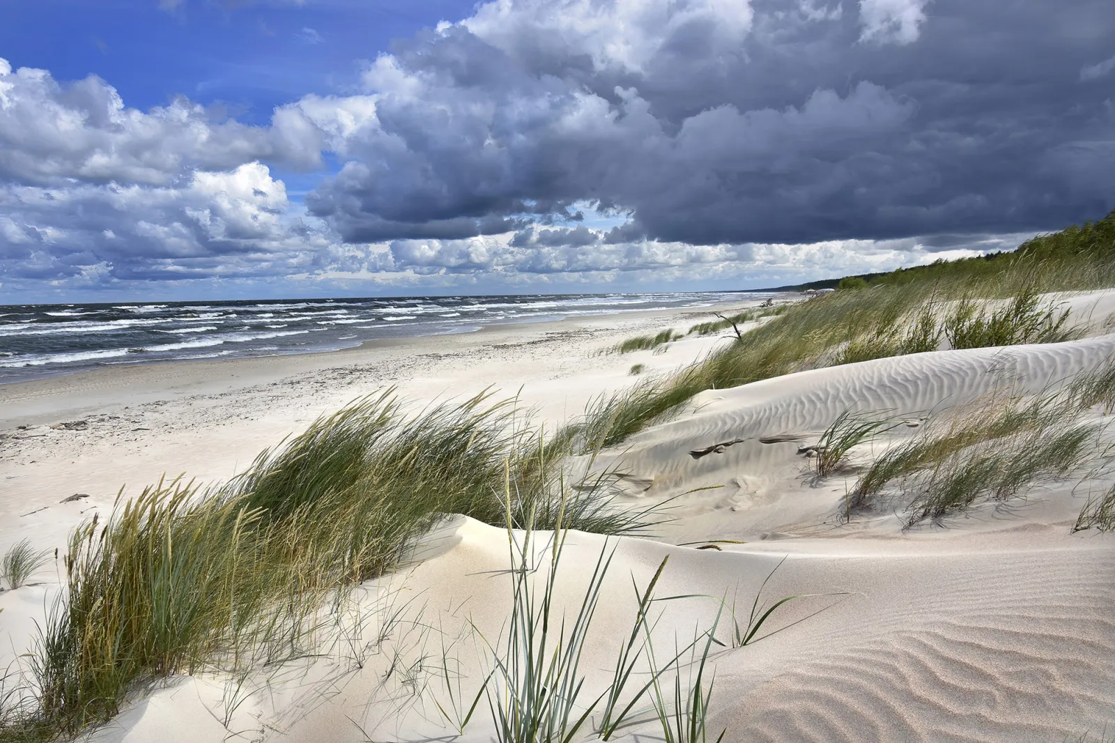 Fototapeta Morze Bałtyckie - Plaża — powiększenie wzoru