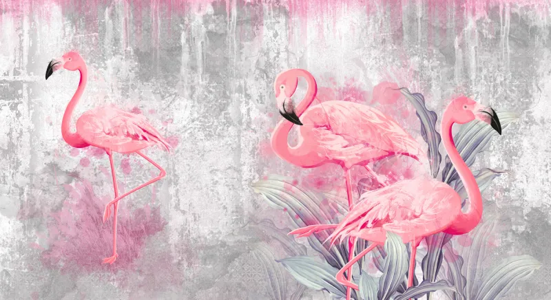 Fototapeta Różowe flamingi
