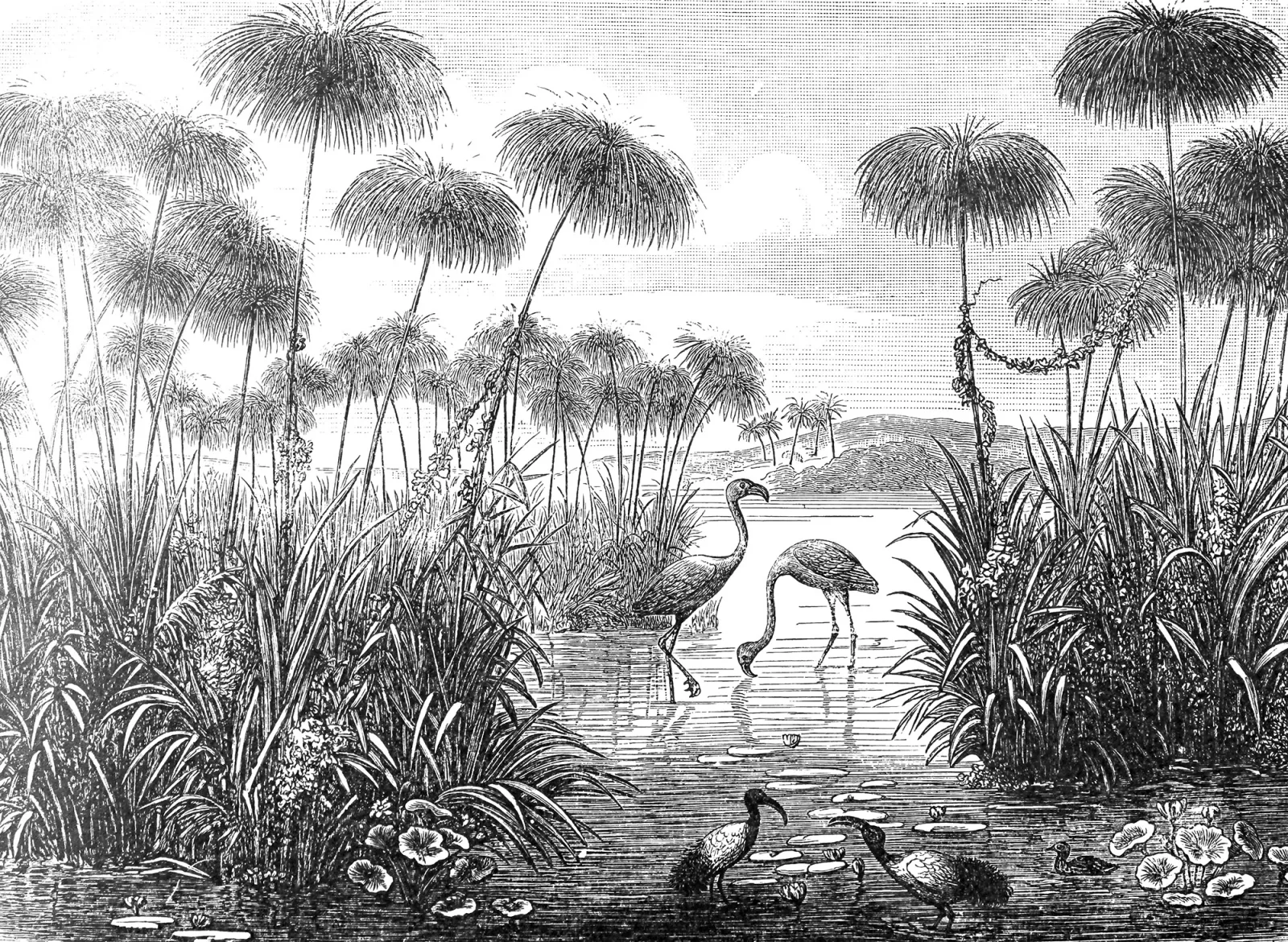Fototapeta Flamingi nad wodą — powiększenie wzoru