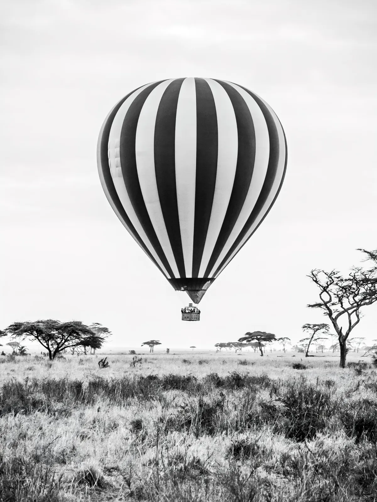 Fototapeta Balon na afrykańskiej sawannie — powiększenie wzoru