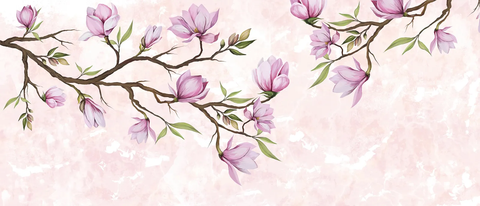 Fototapeta Gałązki z kwitnącymi kwiatami magnolii — powiększenie wzoru