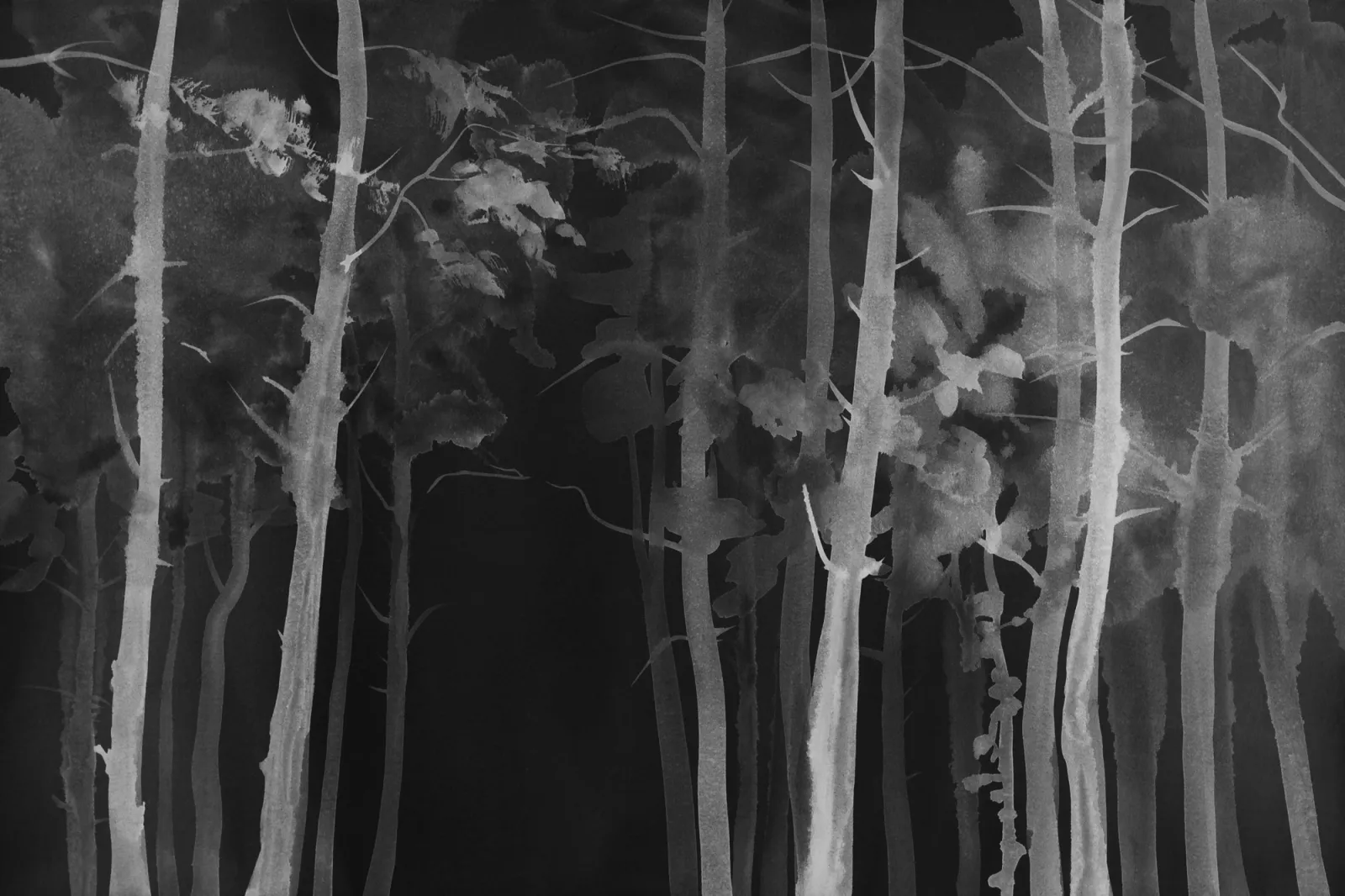 Fototapeta Mglisty las nocą — powiększenie wzoru