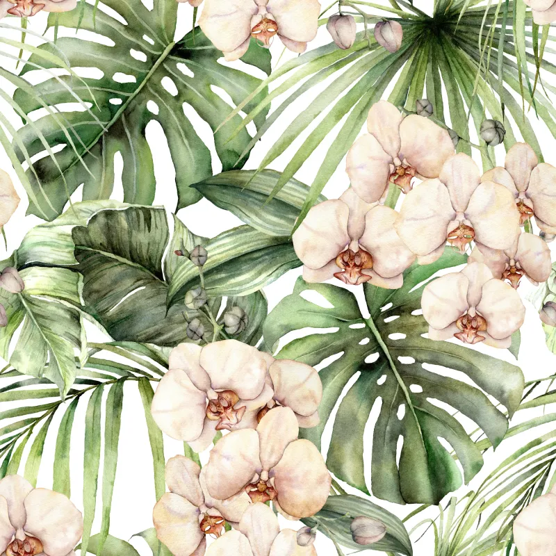 Fototapeta Orchidea akwarelowy wzór
