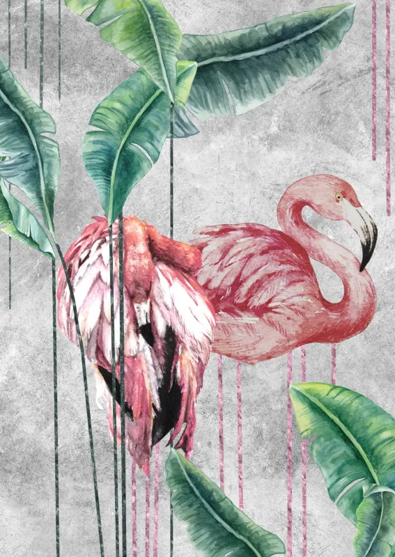 Fototapeta Flamingi