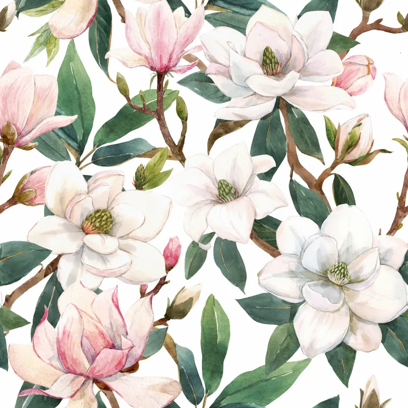 Fototapeta Kwiaty magnolii