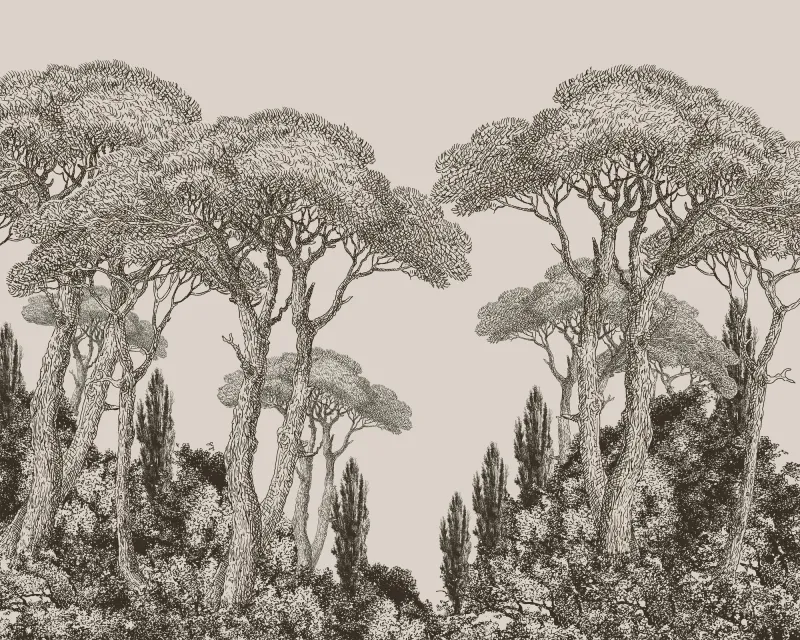 Fototapeta Drzewa szkic