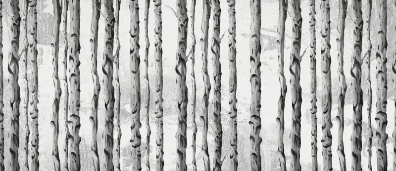 Fototapeta Malowane brzozy