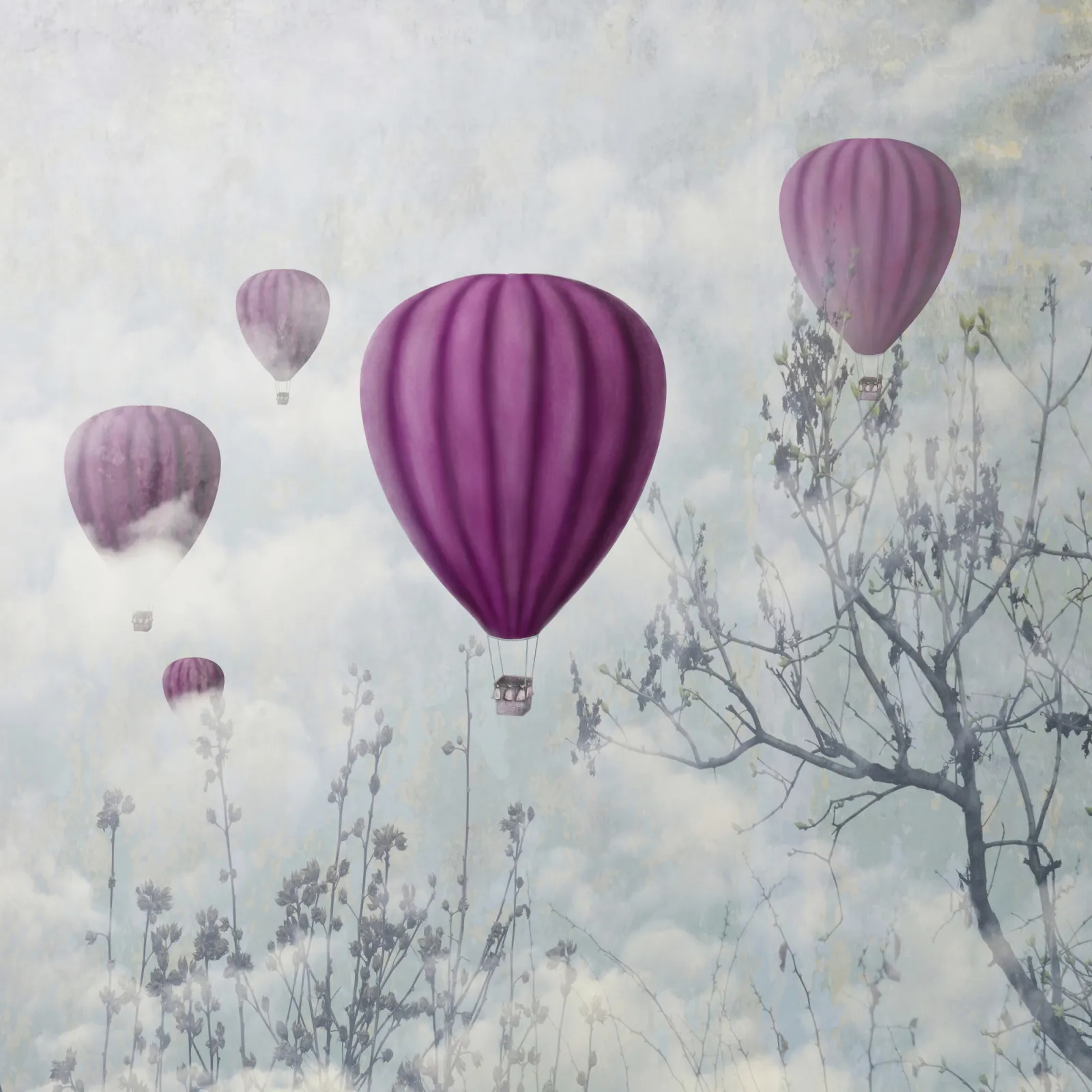 Fototapeta Balony w Chmurach — powiększenie wzoru