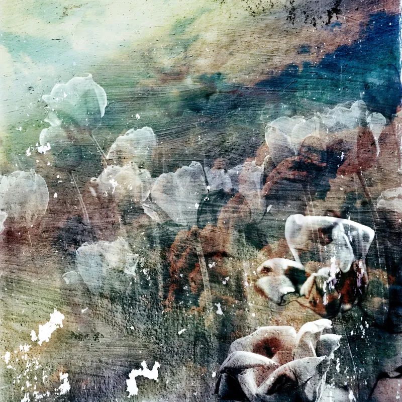 Fototapeta Kwiaty vintage